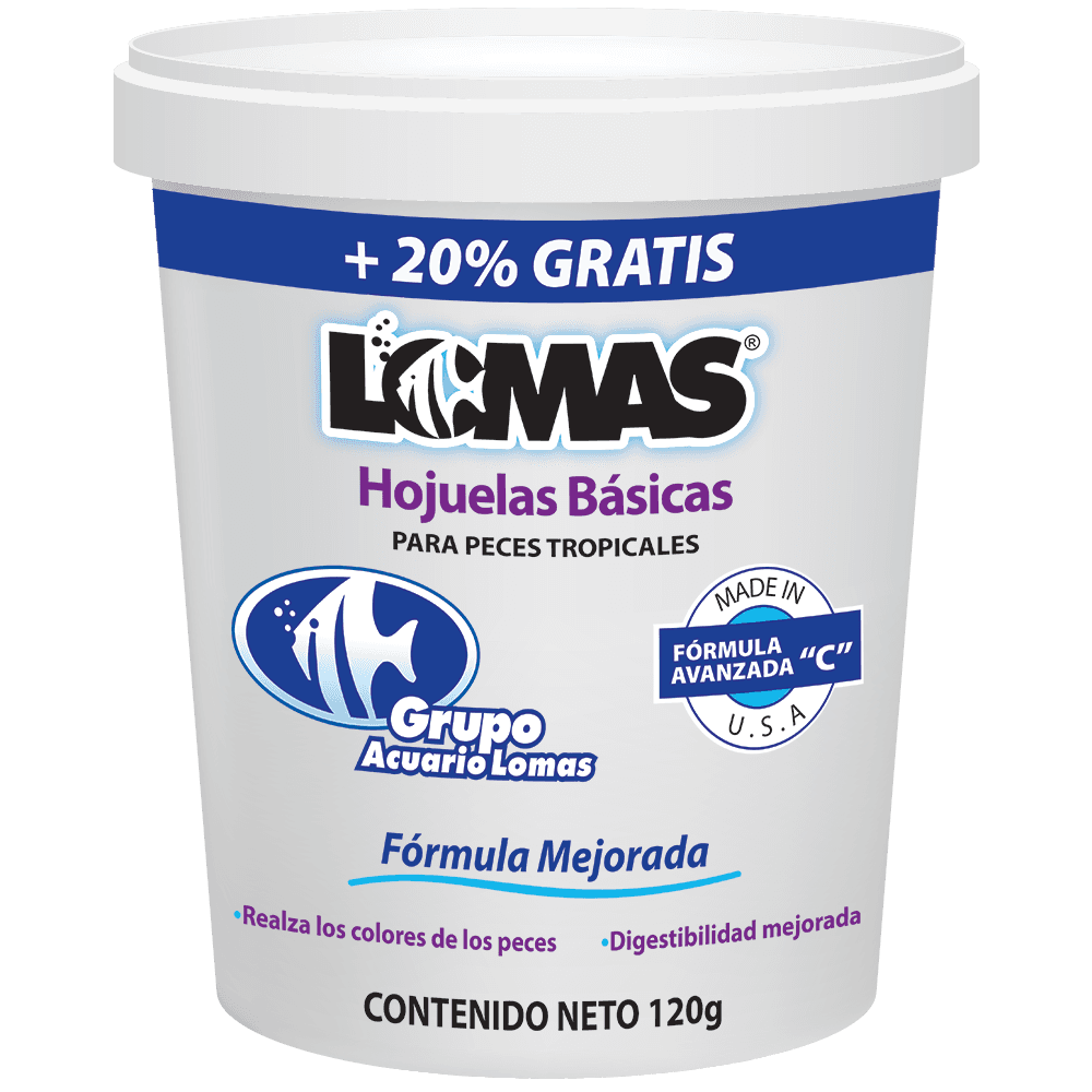 Product image https://nelo-marketplace-prod.s3.us-east-1.amazonaws.com/Hojuelas basicas 100-1728407968830.png