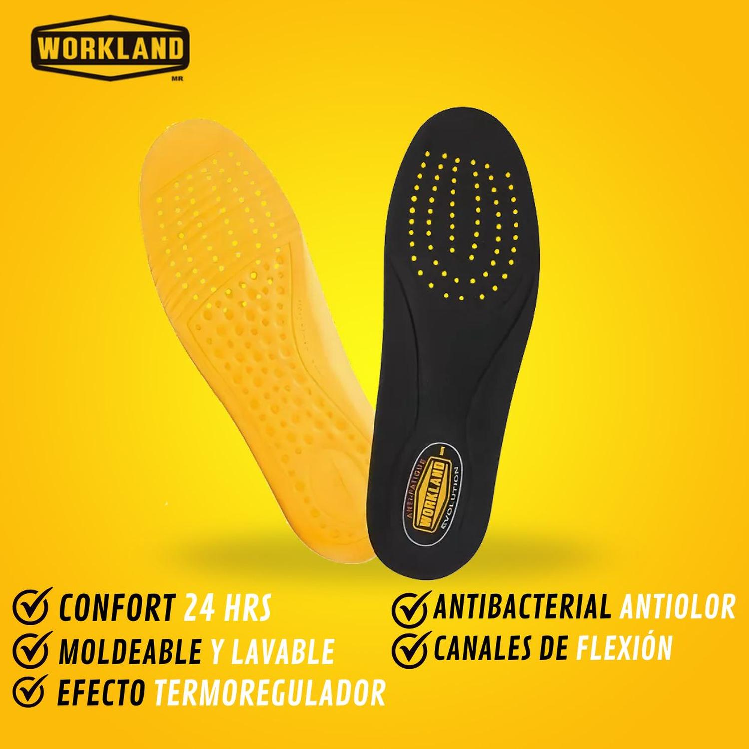 Plantilla Workland Evolution — imagen 2