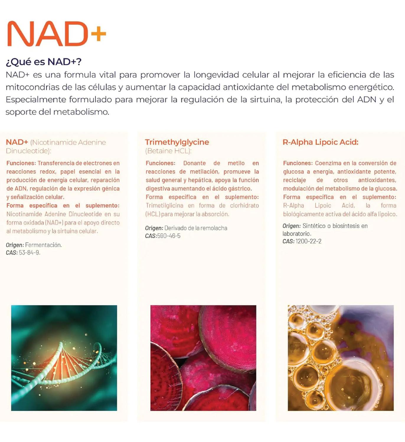Essentials: NAD+ Puro con TMG y Ácido Alfa Lipoico, Trimetilglicina + NMN + NR, 200 Cápsulas — imagen 4