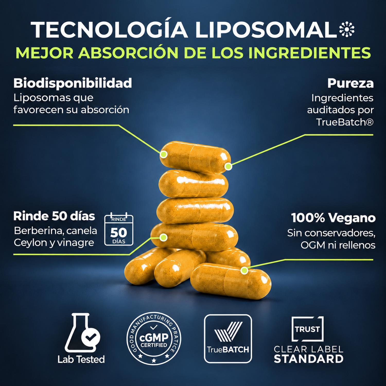 Berberina HCL97 Liposomal con Canela Ceylon y Vinagre de Manzana, 1,260 mg por Porción, 100 Cápsulas — imagen 4