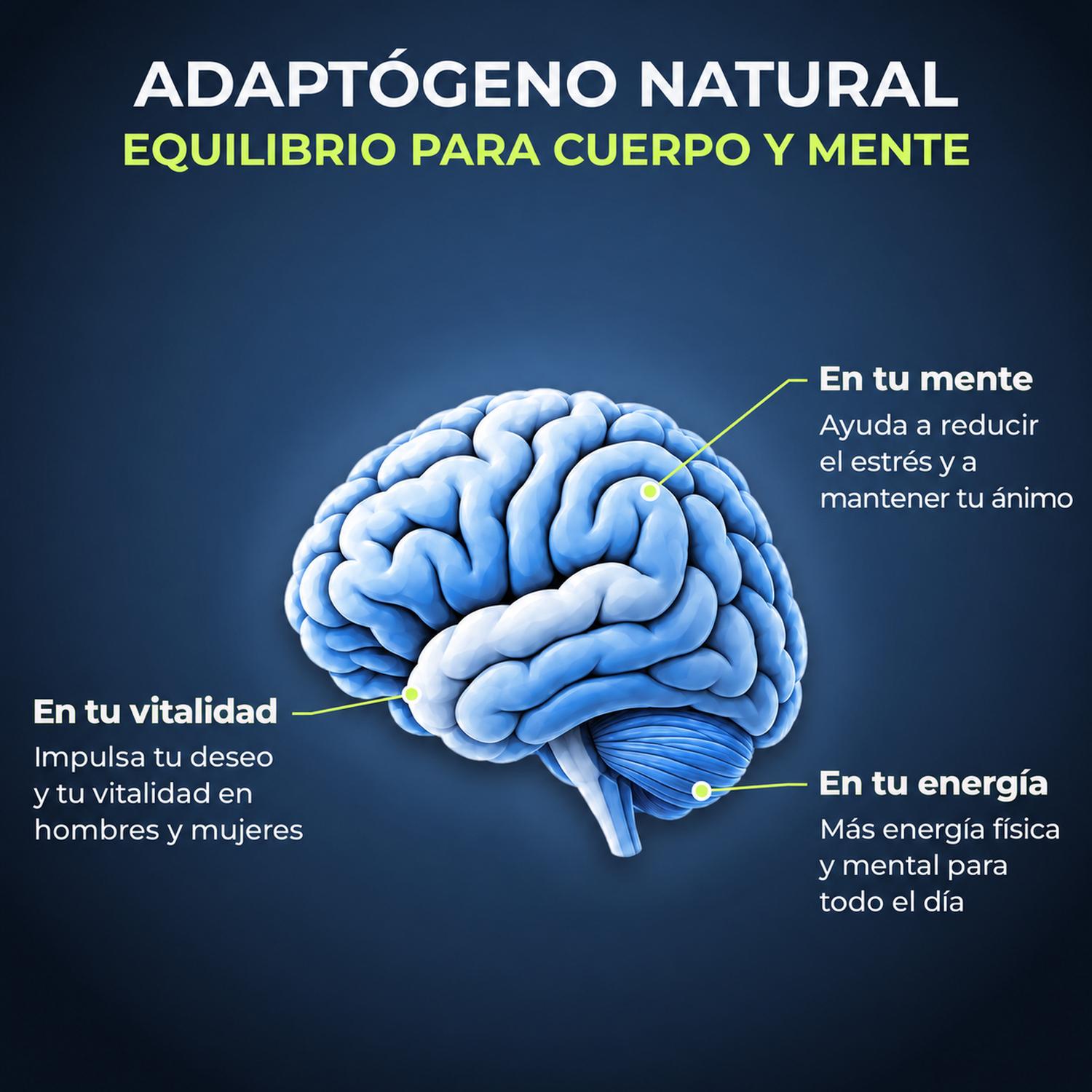 Maca Orgánica Liposomal Gelatinizada con Lecitina de Girasol, 1,080 mg por Porción, 100 Cápsulas — imagen 5