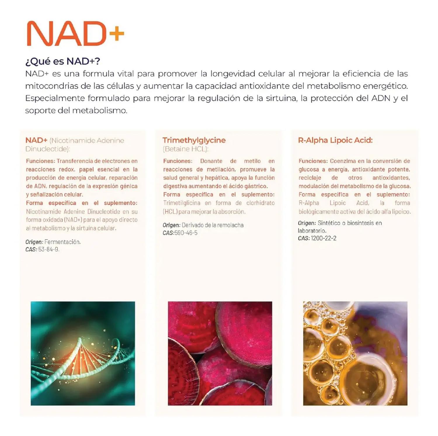 Essentials: NAD+ Puro con TMG y Ácido Alfa Lipoico, Trimetilglicina + NMN + NR, 100 Cápsulas — imagen 4