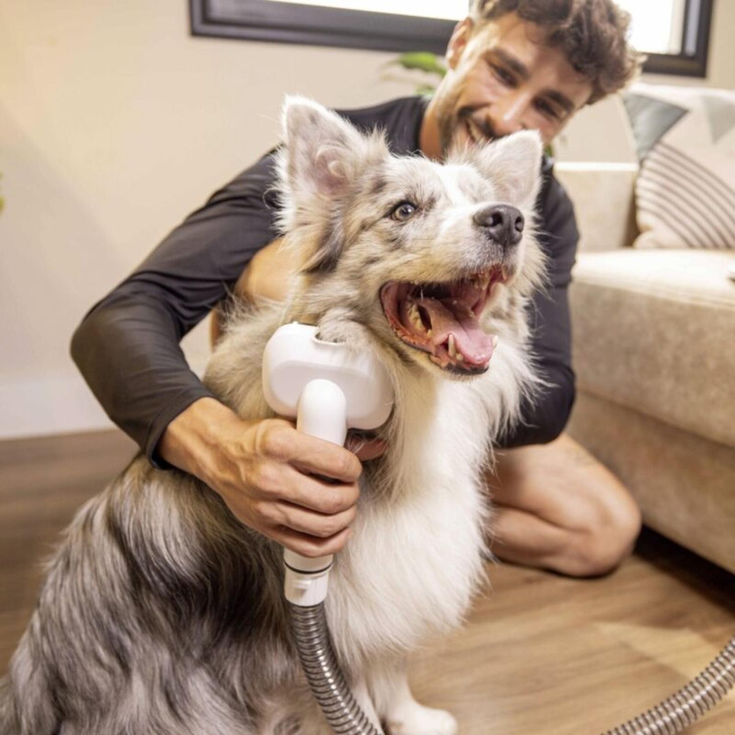 Kit Aspiradora Cortapelos Mascotas KARCHER OC3 Succión Vacío — imagen 2