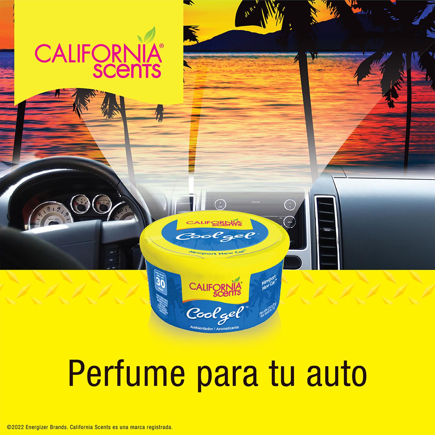 12 AROMATIZANTE GEL CALIFORNIA COCHE NUEVO 2.5OZ — imagen 4