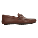Zapato Gino Cherruti Hombre Casual Café Caballero