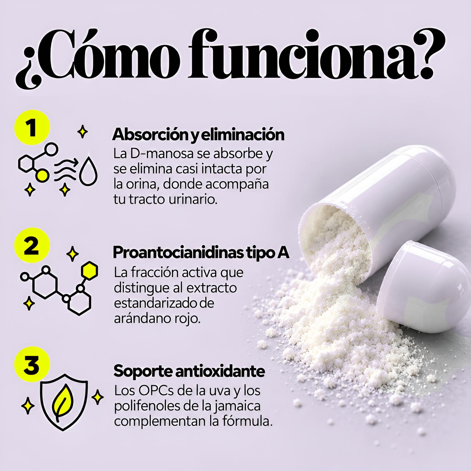 Healthy Me: Mezcla de D-Manosa con Arándano para Salud del Tracto Urinario, 60 Cápsulas — imagen 3