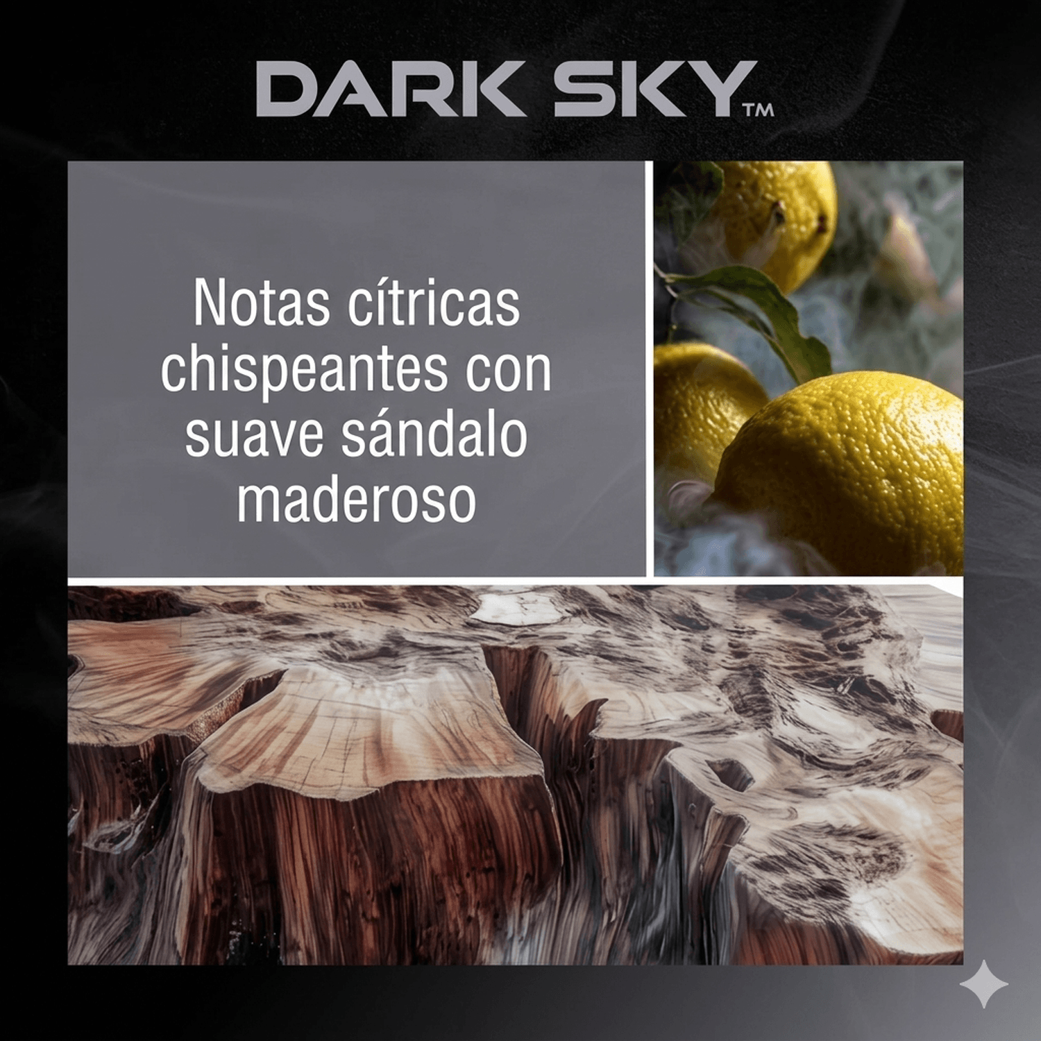 AROMATIZANTE COCHE HOGAR DRVN GEL LATA DARK SKY — imagen 2