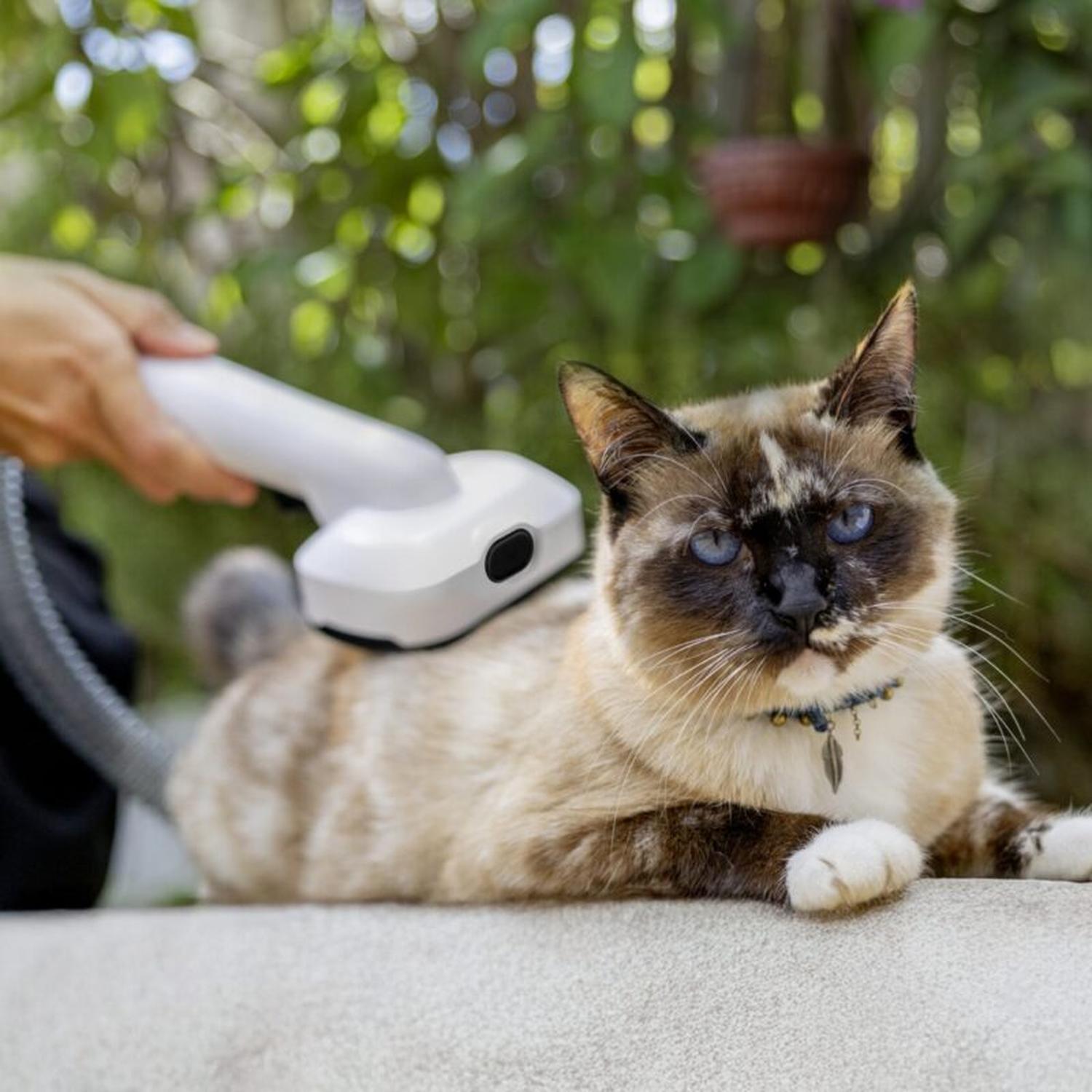 Kit Aspiradora Cortapelos Mascotas KARCHER OC3 Succión Vacío — imagen 4