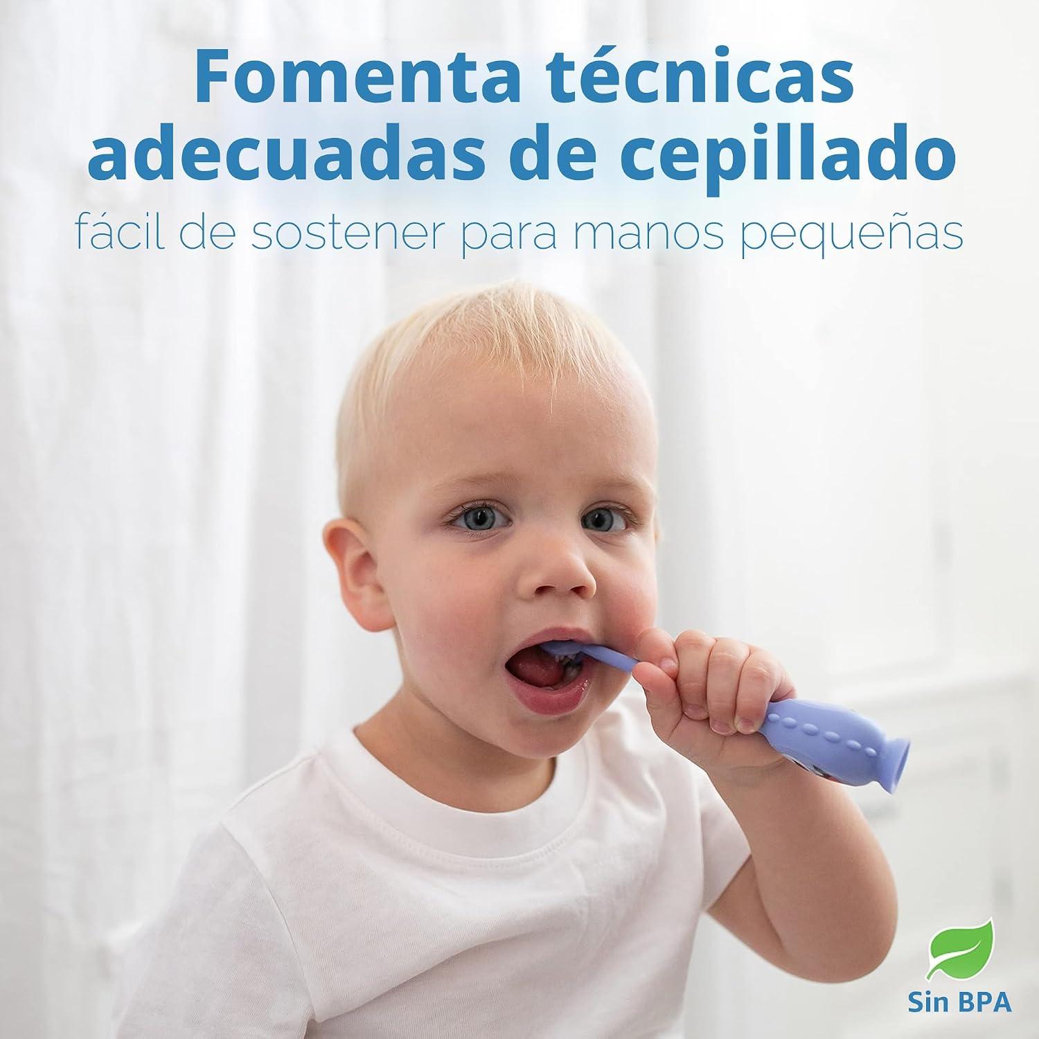 Cepillo de Dientes para Bebé Dr. Brown's ToothScrubber Monstruo Morado 1-4 Años — imagen 8