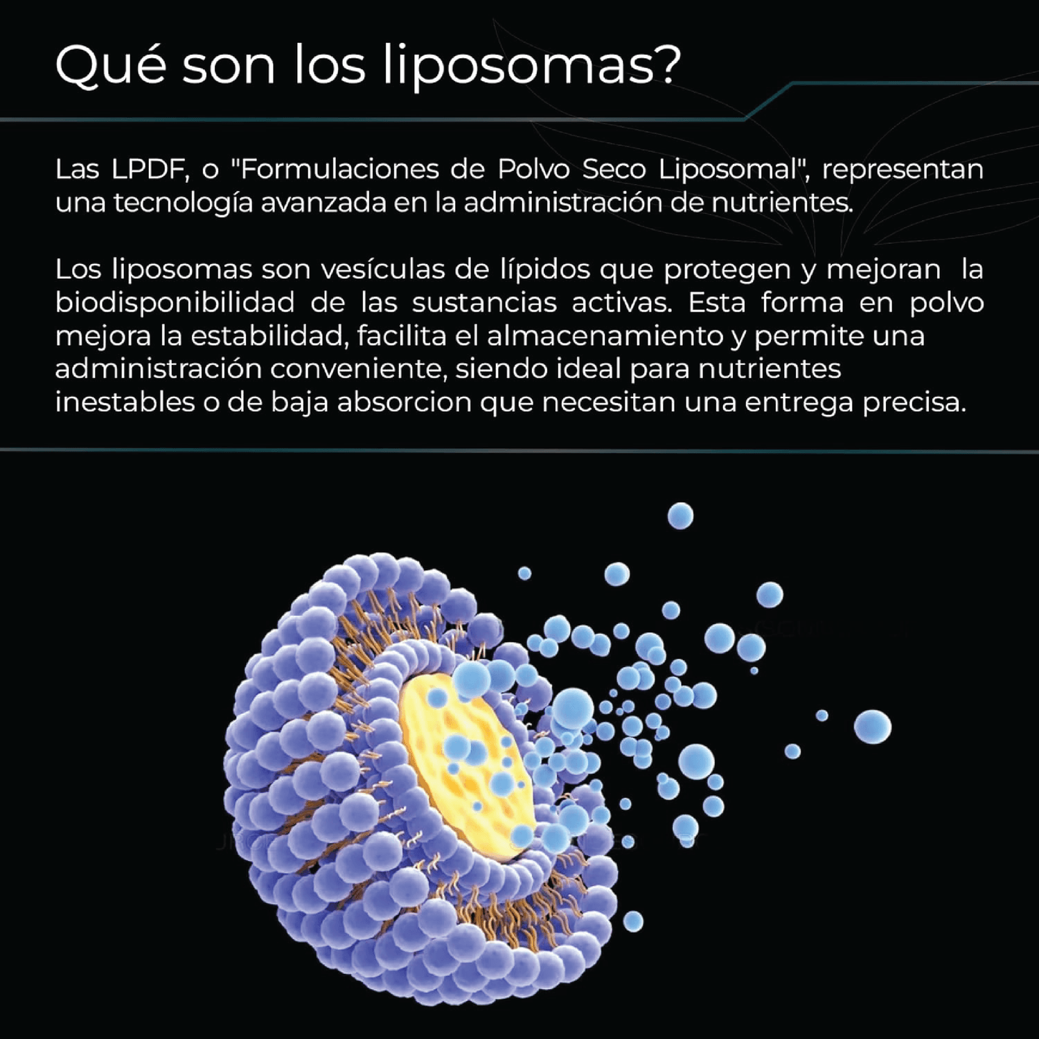 Ultra Pure: L-Taurinato de Magnesio Liposomal, Alta Biodisponibilidad, Claridad Mental, 300 Cápsulas — imagen 3