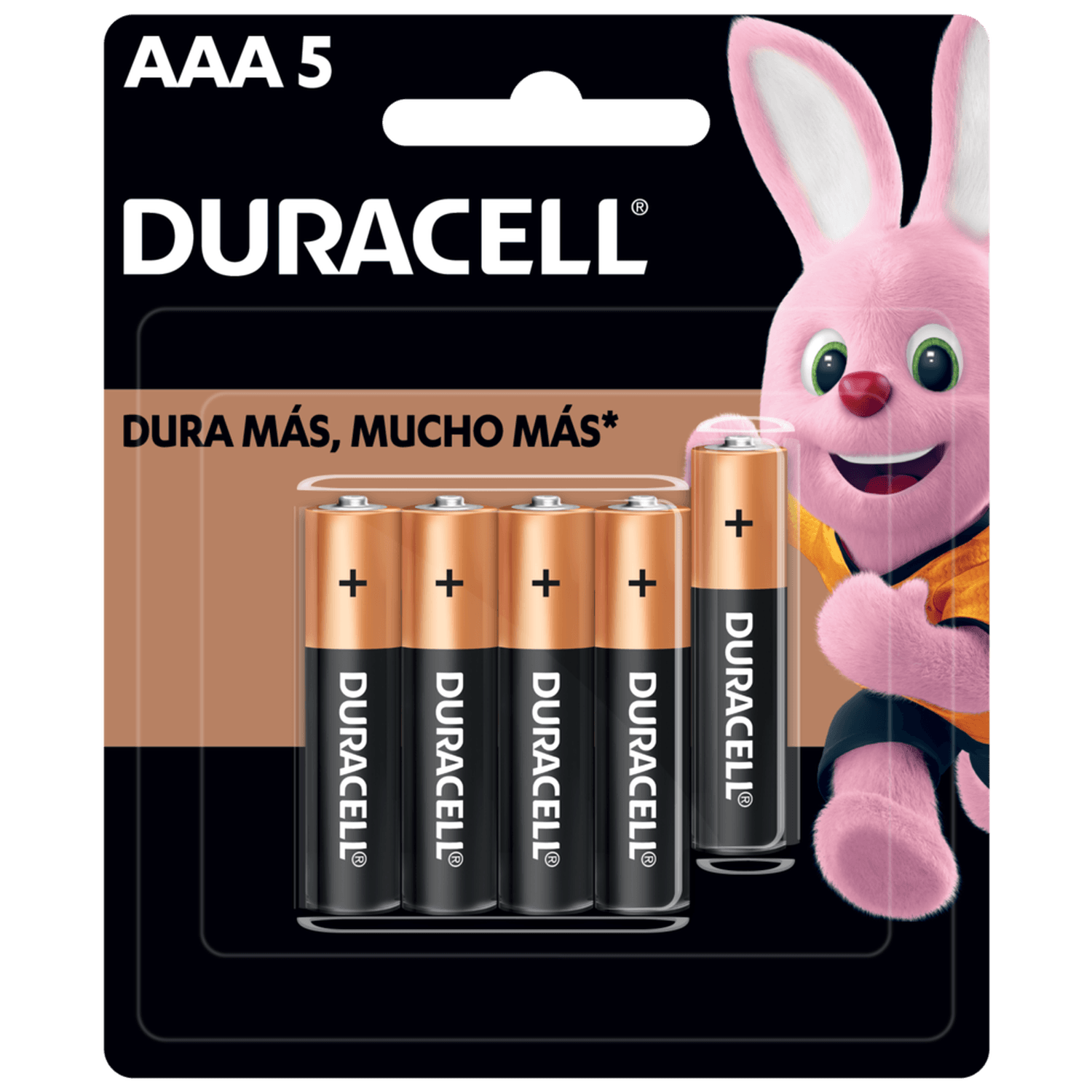 Pila Duracell Alcalina Aaa Con 5 Mn2400b5 Chica — imagen 1