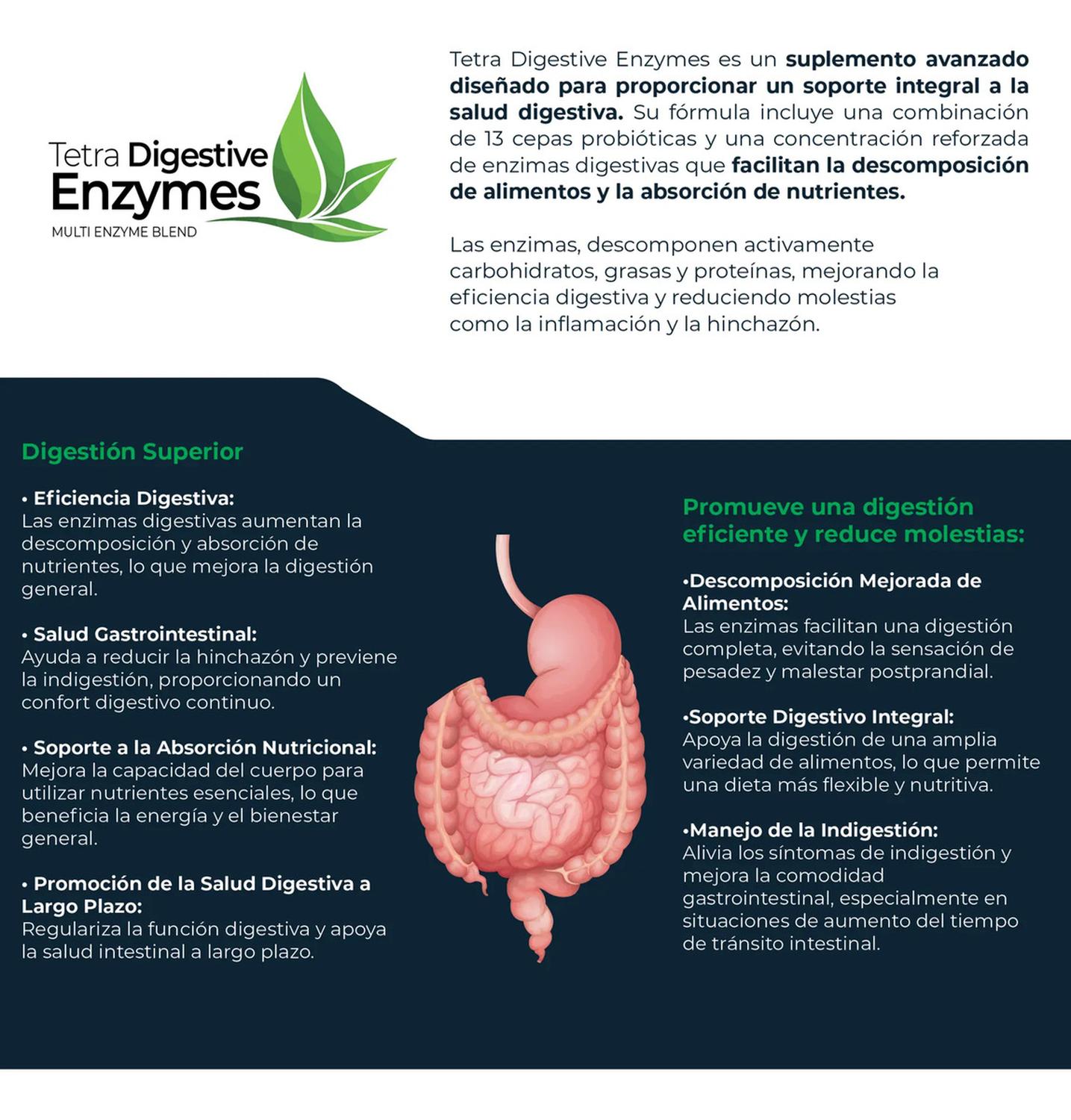 Tetra Enzimas Digestivas, 9 Enzimas + 13 Probióticos y Prebióticos + Magnesio, 200 Cápsulas — imagen 2