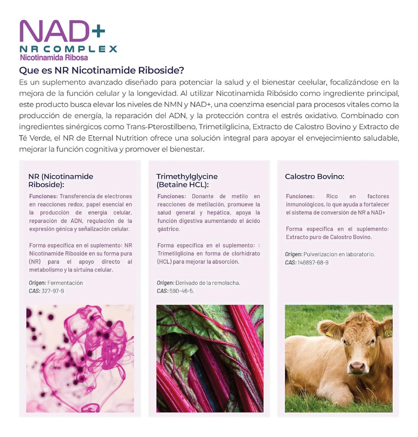 Essentials: NAD+ NR Complex, Nicotinamida Ribósida + Calostro + Trans-Pterostilbeno, 200 Cápsulas — imagen 4