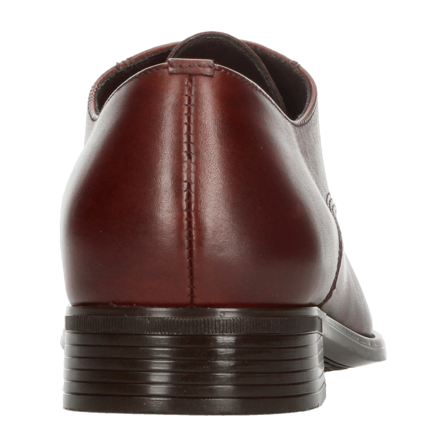 Zapato Hombre Gino cherruti Café De Vestir Caballero — imagen 7